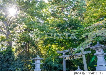 塩釜神社　鳥居　しめ縄　石灯籠 95841317