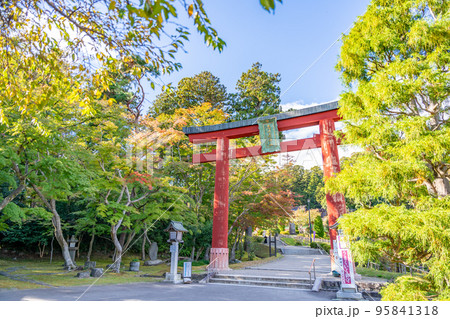 塩釜神社　志波彦神社　鳥居　秋　紅葉 95841318