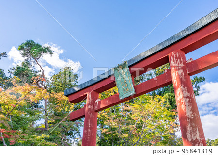 塩釜神社　志波彦神社　鳥居　秋　紅葉 95841319