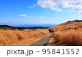 秋の細野高原2 95841552