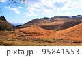 秋の細野高原 95841553