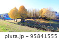 秋のいちょうと公園 95841555