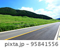 夏の仙石原すすき草原 95841556