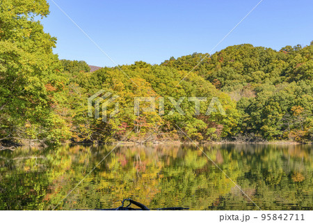 初秋の長老湖と蔵王 初秋の長老湖と蔵王 95842711