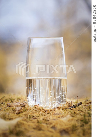 a glass of fresh cold natural mineral water in the autumn forest close-up. health and useful minerals 95842850