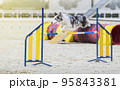 Australian Shepherd. Dog on agility competition. The Aussie dog jumps over an obstacle. Sporting event, achievement in sport. Summer light. Summer 95843381