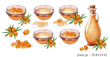 Set oil, honey, maple syrup sea buckthorn in glass bowl with berry. Natural fresh organic yellow vegetable oil realistic watercolor image. Glass peala with pure product inside close up element Set oil, honey, maple syrup sea buckthorn in glass bowl with berry. Natural fresh organic yellow vegetable oil realistic watercolor image. Glass peala with pure product inside close up element 95843442