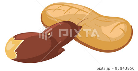 Peanut icon. Cartoon nutshell and peeled nut Peanut icon. Cartoon nutshell and peeled nut 95843950