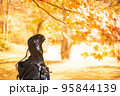 秋の紅葉を楽しみながら眺めている女性 95844139