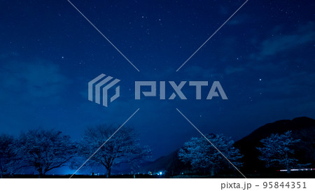 双子座と桜並木 95844351