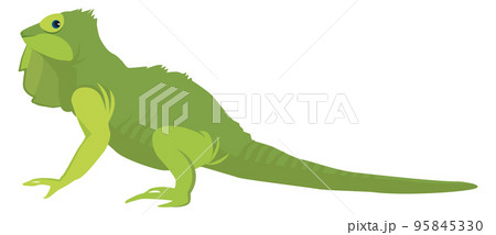 Green lizard. Iguana icon. Funny reptile animal 95845330