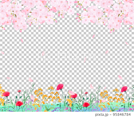 Beautiful and gorgeous light pink cherry blossoms in full bloom and spring flowers-spring white back frame background material with falling petals Beautiful and gorgeous light pink cherry blossoms in full bloom and spring flowers-spring white back frame background material with falling petals 95846784