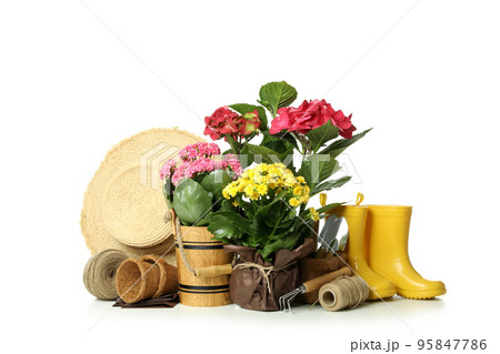 Accessories and tools for gardening isolated on white background Accessories and tools for gardening isolated on white background 95847786