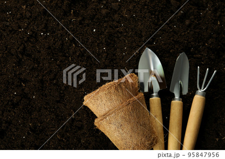 Accessories and tools for gardening on soil background Accessories and tools for gardening on soil background 95847956