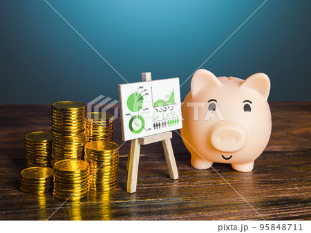 Pig piggy bank proudly presenting good money saving results. Financial literacy, asset management. Increase profits, reduce costs optimization. Business investment plan. Statistics, results reports 95848711
