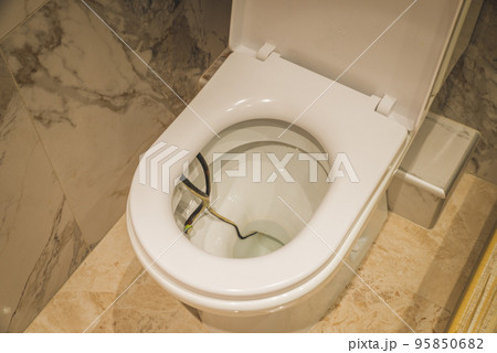a black snake in a restroom creep into the open toilet 95850682