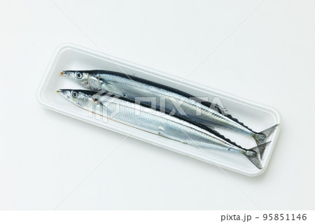 食品トレイに入ったサンマ2匹 95851146