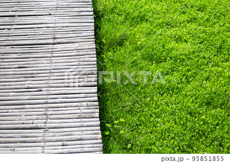Bamboo walkway with fresh lawn grass. Beautiful green garden Bamboo walkway with fresh lawn grass. Beautiful green garden 95851855