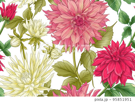 Dahlias flowers, outline Vector illustration.  95851951