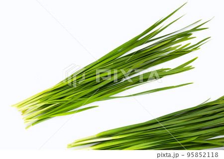 Fresh Chinese Chive leaves on white background. Fresh Chinese Chive leaves on white background. 95852118