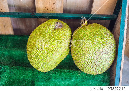 Pile fresh jackfruit for sale in the market. Fresh thai fruit for sale in street market Pile fresh jackfruit for sale in the market. Fresh thai fruit for sale in street market 95852212