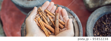 Cinnamon sticks in female hands on a background of spices BANNER long format Cinnamon sticks in female hands on a background of spices BANNER long format 95852238