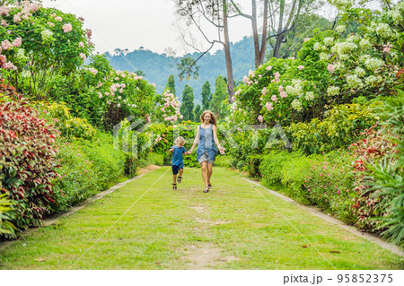 Mom and son are running around in the blooming garden. Happy family life style concept 95852375