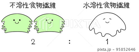 イラスト　不溶性食物繊維と水溶性食物繊維は2:1の割合で摂るのが理想的 95852646