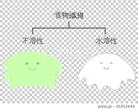 Illustration Dietary fiber is divided into insoluble and water-soluble 95852649