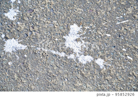 道路の汚れ　鳥の糞 95852926