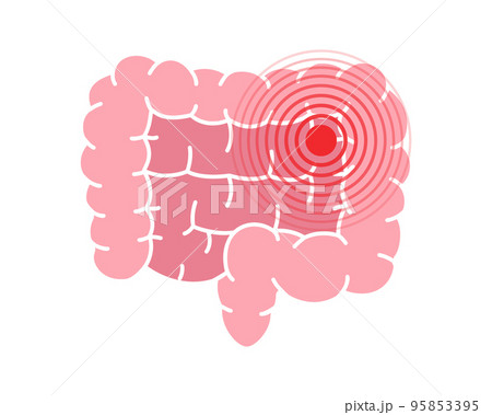 Human intestines pain symbol. Intestines ache icon. Vector illustration. Human body ache pain dot Human intestines pain symbol. Intestines ache icon. Vector illustration. Human body ache pain dot 95853395
