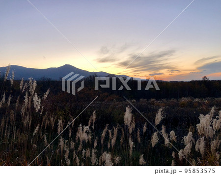 北海道　晩秋のススキと岩内岳の夕陽 95853575