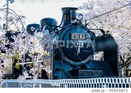 福島県 満開の日中線しだれ桜並木 95853873
