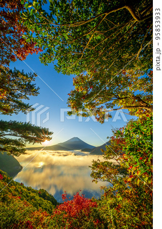 朝日射す見晴台からの紅葉に本栖湖と富士山 朝日射す見晴台からの紅葉に本栖湖と富士山 95853933