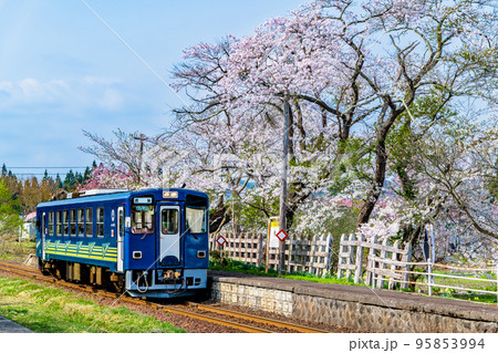 秋田内陸縦貫鉄道　桂瀬駅　～桜満開の駅に停まる列車～ 95853994