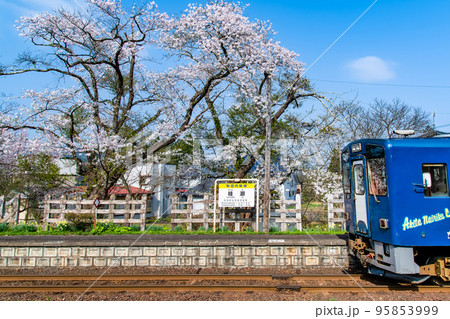 秋田内陸縦貫鉄道 桂瀬駅 ~桜満開の駅に停まる列車~ 秋田内陸縦貫鉄道 桂瀬駅 ~桜満開の駅に停まる列車~ 95853999