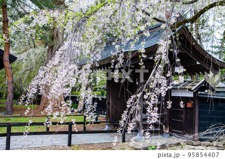 秋田県仙北市 角館武家屋敷通り ~角館樺細工伝承館~ 秋田県仙北市 角館武家屋敷通り ~角館樺細工伝承館~ 95854407