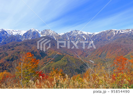 白馬岩岳マウンテンリゾートから望む秋の白馬三山 95854490
