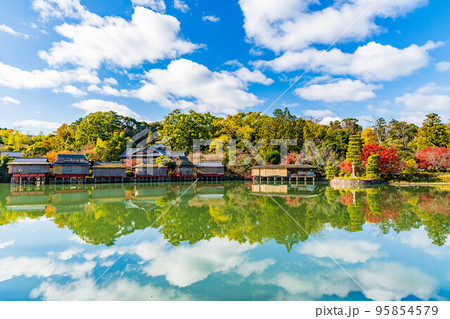 京都長岡京の秋 紅葉の長岡天満宮 八条が池 京都長岡京の秋 紅葉の長岡天満宮 八条が池 95854579