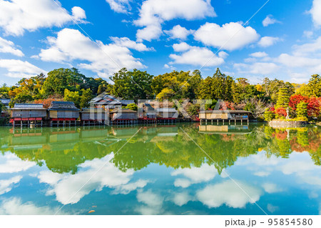 京都長岡京の秋 紅葉の長岡天満宮 八条が池の写真素材