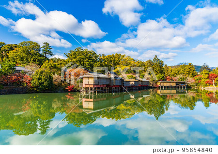 京都長岡京の秋　紅葉の長岡天満宮　八条が池 95854840