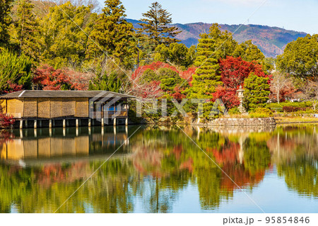 京都長岡京の秋 紅葉の長岡天満宮 八条が池の写真素材