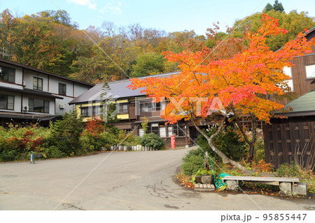 アントニオ猪木さんが愛した蔦温泉 【青森県十和田市奥瀬・十和田八幡平国立公園 】 アントニオ猪木さんが愛した蔦温泉 【青森県十和田市奥瀬・十和田八幡平国立公園 】 95855447