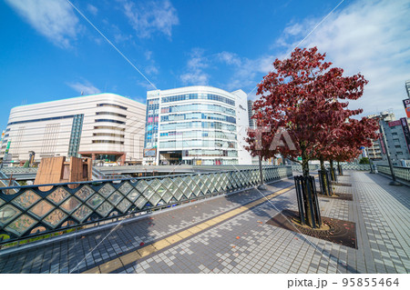 「埼玉県」川口駅東口前 「埼玉県」川口駅東口前 95855464
