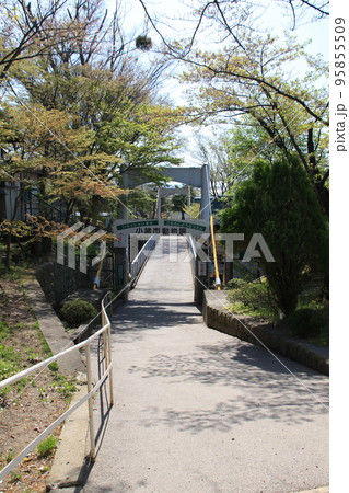 長野県小諸市の小諸城址の風景 95855509