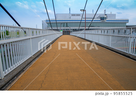 戸田公園 戸田公園大橋 漕艇場 戸田公園 戸田公園大橋 漕艇場 95855525