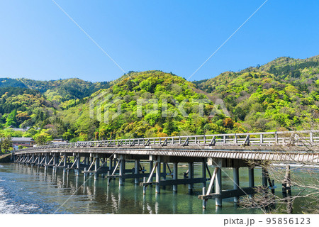 新緑の嵐山渡月橋と保津川の流れ 95856123