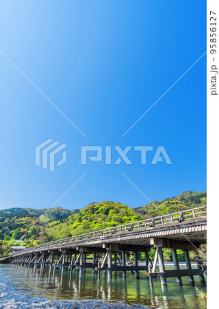 新緑の嵐山渡月橋と保津川の流れ 新緑の嵐山渡月橋と保津川の流れ 95856127