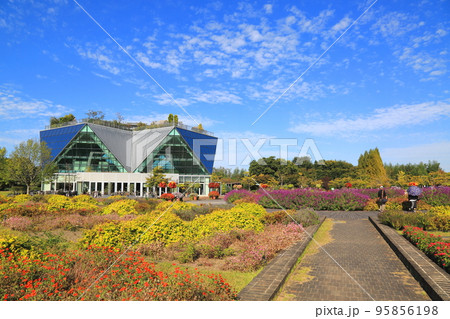フラワーパーク江南散策・154(木曽三川公園:愛知県江南市) フラワーパーク江南散策・154(木曽三川公園:愛知県江南市) 95856198