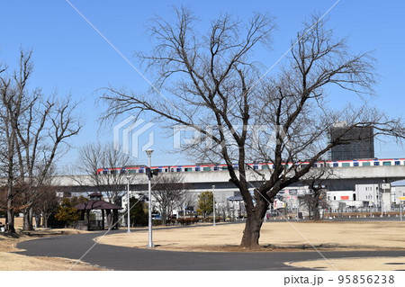 公園近くの高架線路を通過するつくばエクスプレスの車両 95856238
